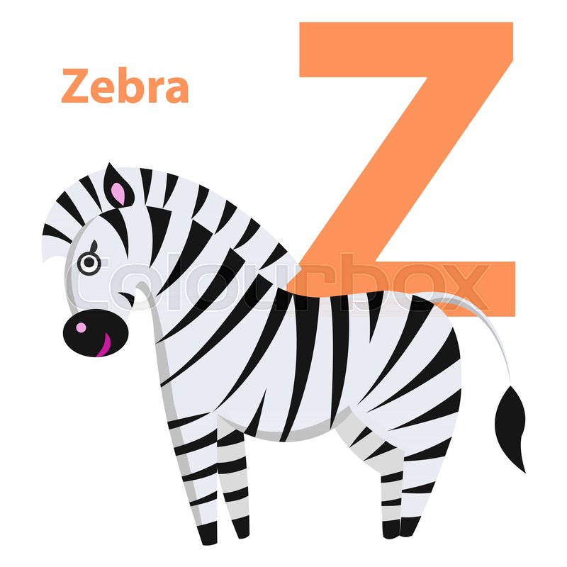 800x800 Orange Letter Z With Word Zebra On Alphabet Card. Black And White