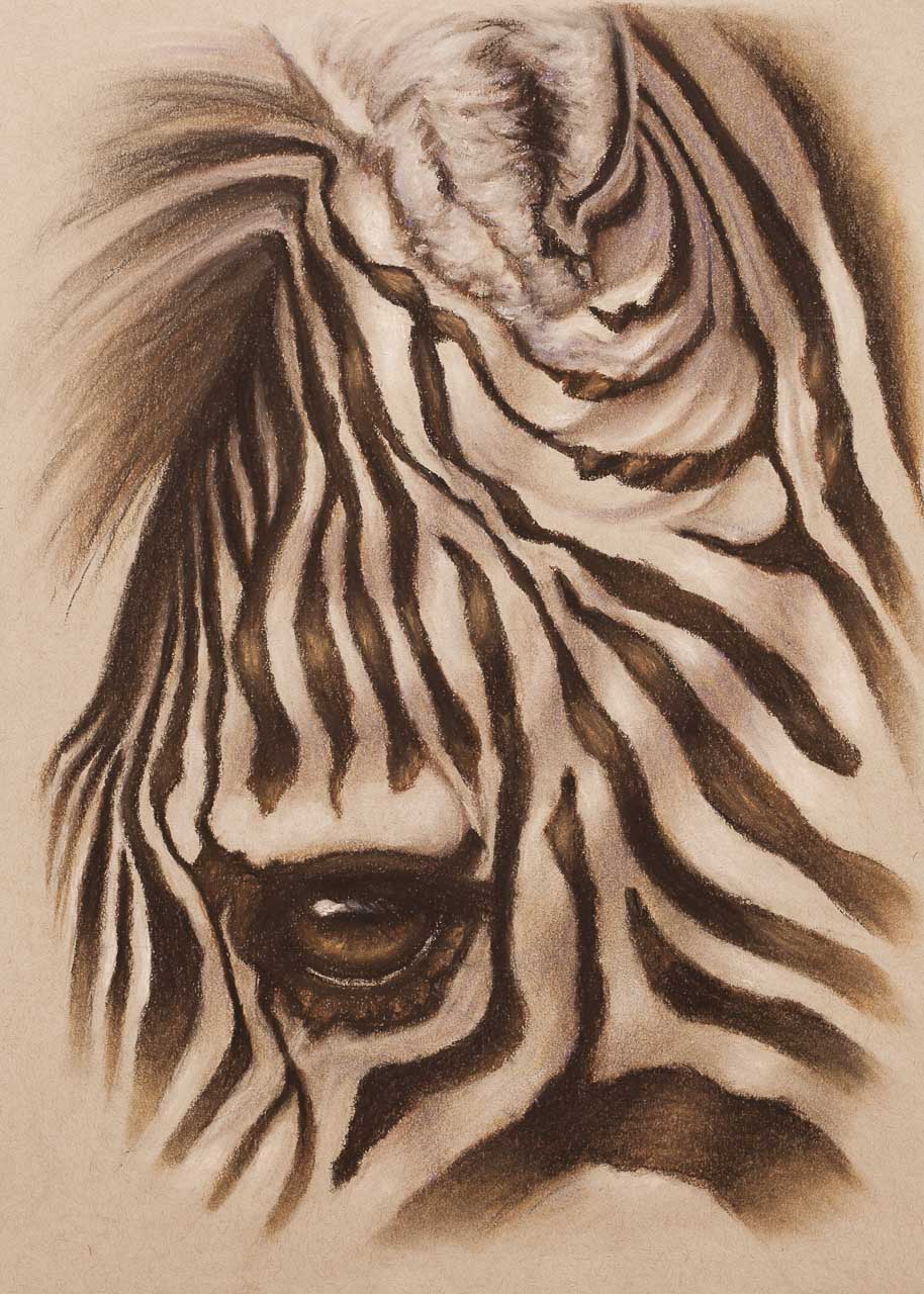 914x1280 Zebra Eye Pastel Prints