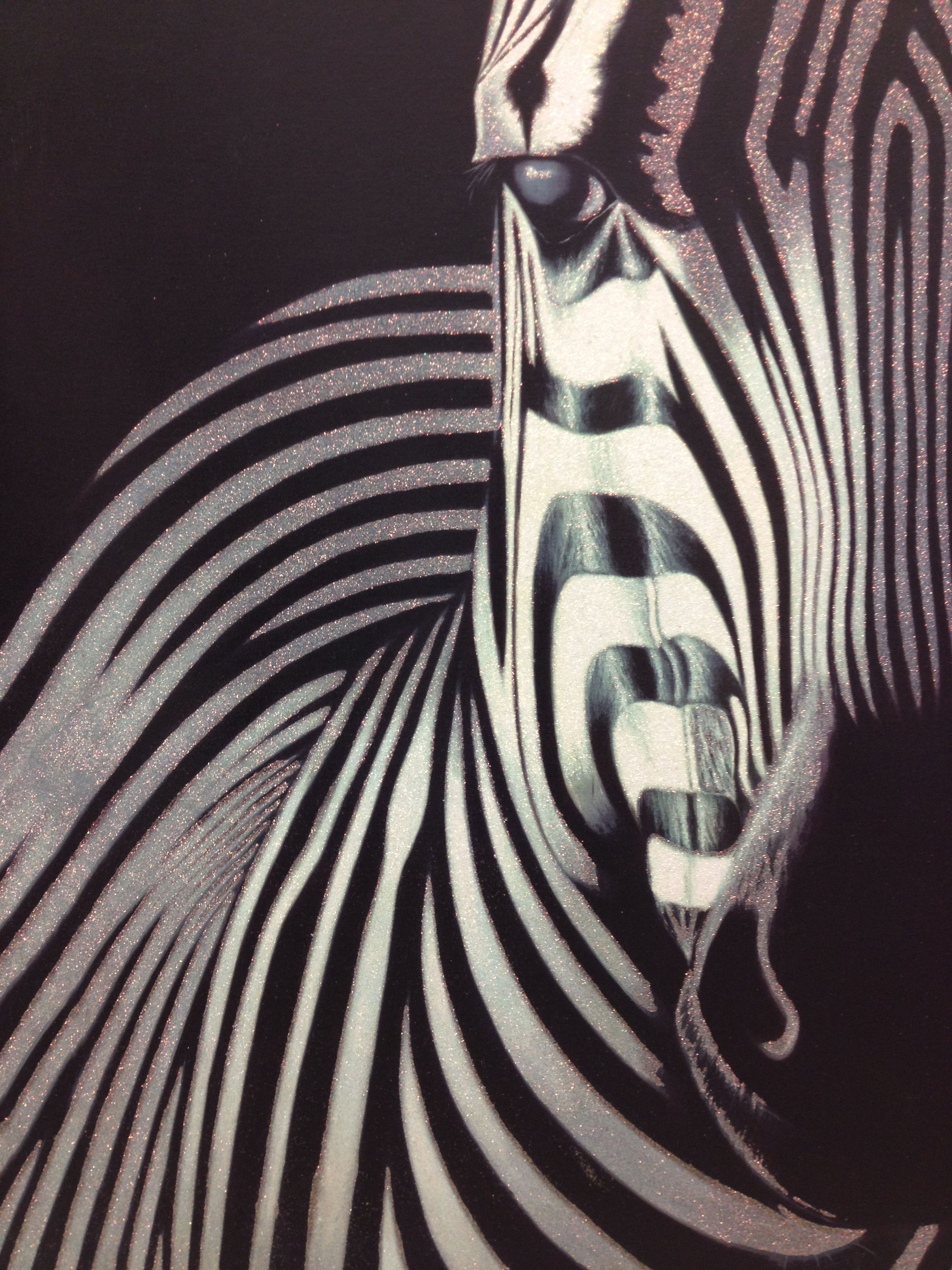 2448x3264 Zebra Face Front