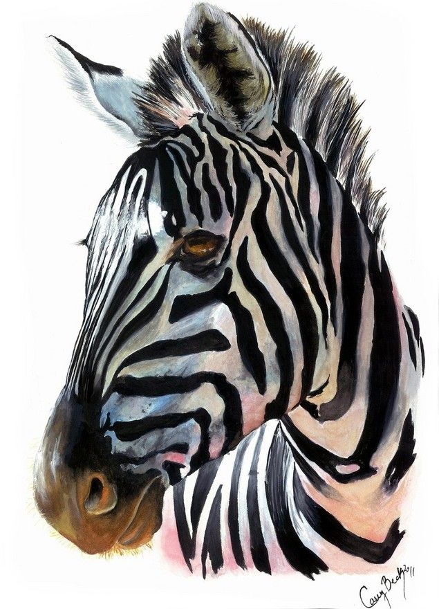 635x880 Zebra By Xbrightwingx Z12345 Watercolor, Animal