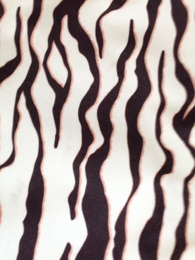 670x893 How To Draw Zebra Stripes 14 Steps (With Pictures)