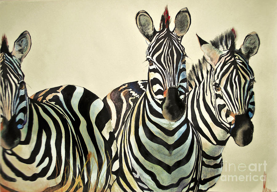 900x624 Zebras Drawing Drawing By Maja Sokolowska