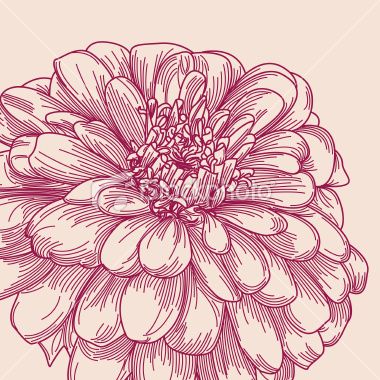 380x380 Linertwork Of Blooming Zinnia Flower.rtwork Contains