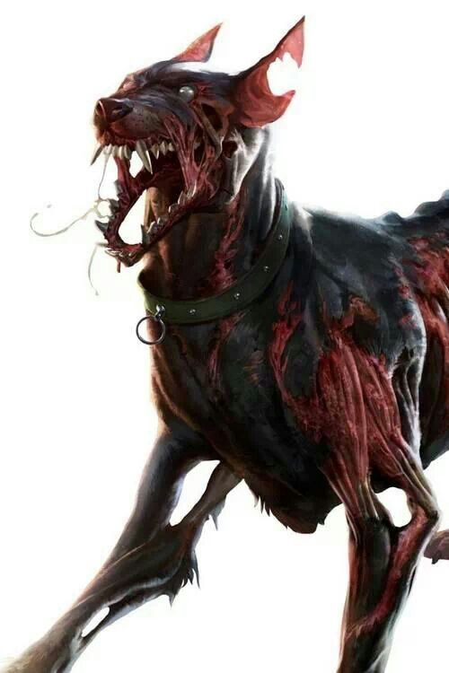 500x750 Image Result For Pathfinder Zombie Dog Pathfinder
