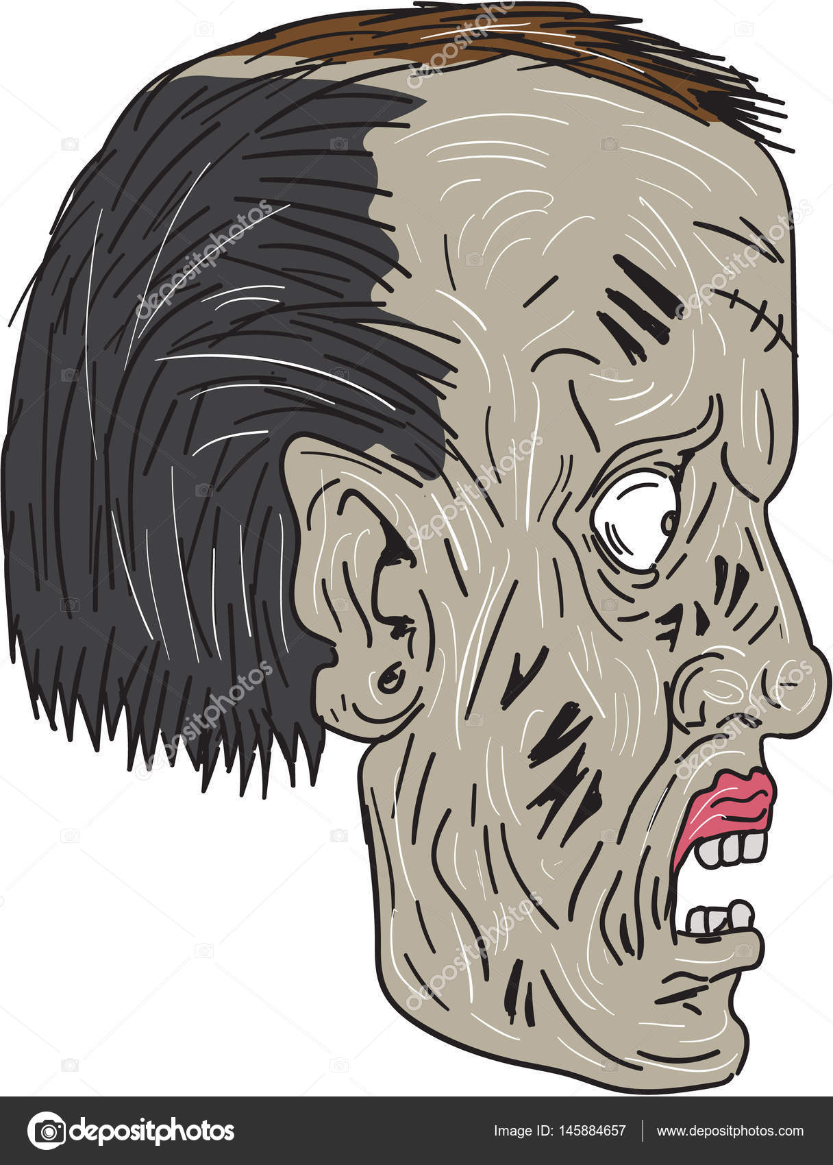 1216x1700 Zombie Head Side Drawing Stock Vector Patrimonio
