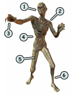 250x326 To Draw Zombies