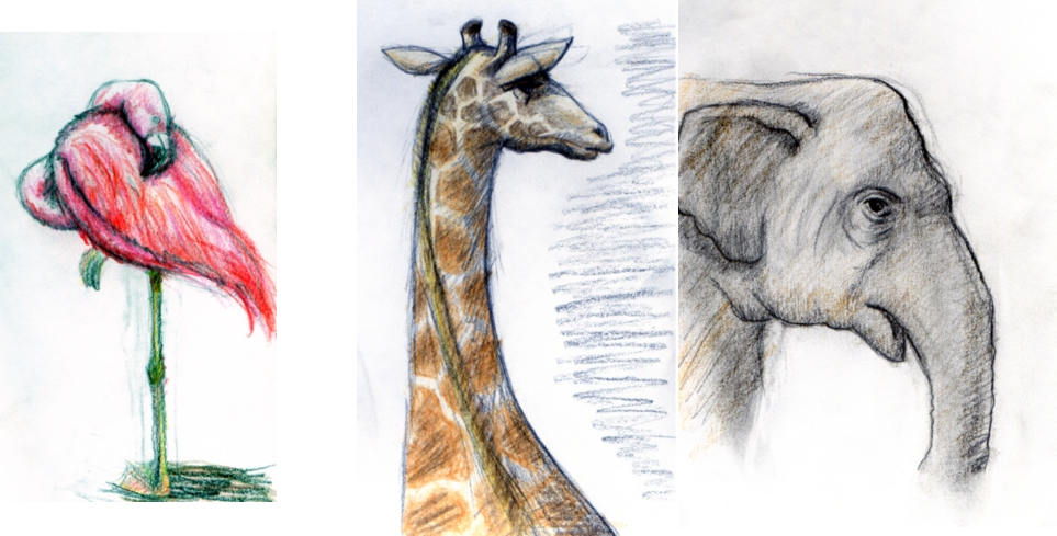 963x489 Filezoo Animal Study By Thefluffyshrimp.jpg