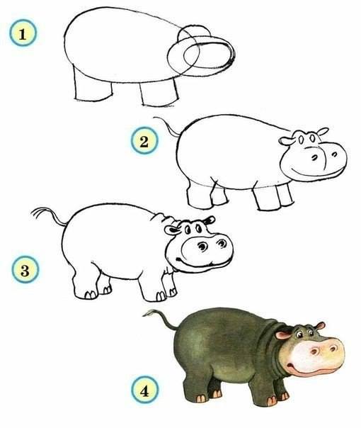 510x604 How To Draw Zoo Animals Easily