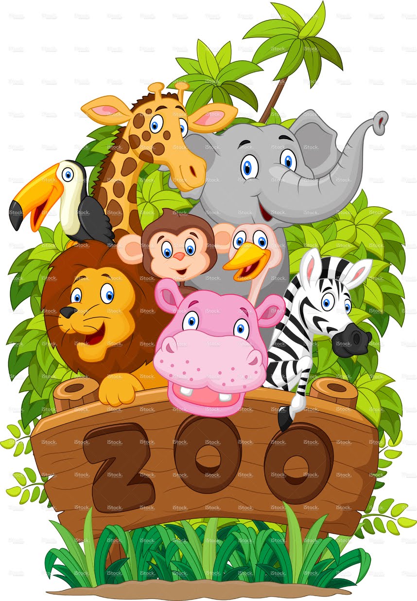 858x1235 Lets Guess Zoo Animals Preschool Kids Whiteboard Drawing Learn