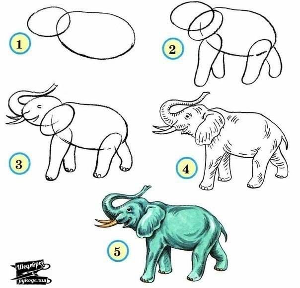 Zoo Animals Drawing at GetDrawings | Free download