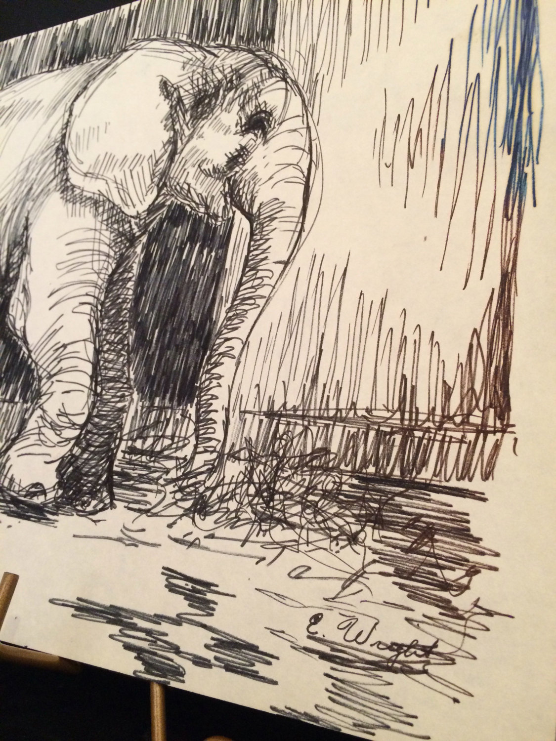 1125x1500 Vintage Unframed Pen And Ink Or Magic Marker Drawing Of Elephant