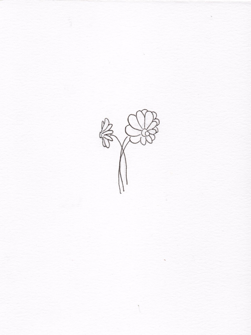 1000x1336 Drawings Zachary Bennett