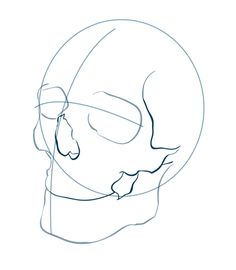 236x270 How To Draw A Human Skull Step By Step. Drawing Tutorials For Kids