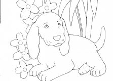 223x160 Printable Coloring Pages For Adults Love Just Colorings