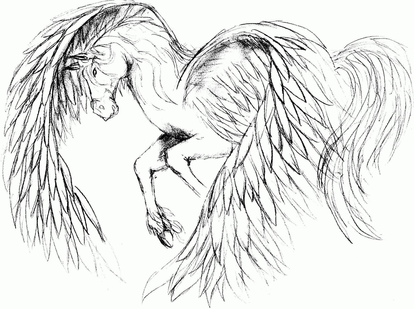 1600x1192 100 Latest Sketches Pegasus Tattoos Drawings