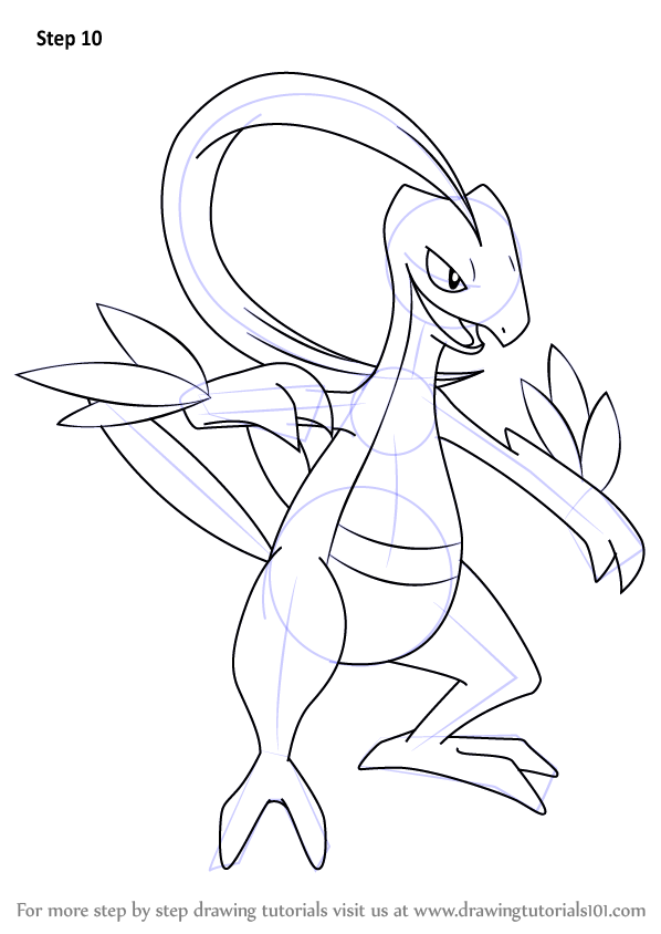 598x844 Learn How To Draw Grovyle From Pokemon (Pokemon) Step By Step