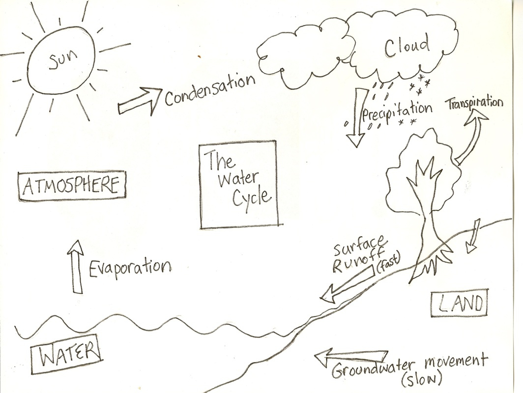 1064x800 Water Cycle Drawing How To Draw 101 Best Drawing Drawing