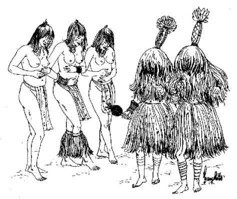 474x399 Index Of Xingu