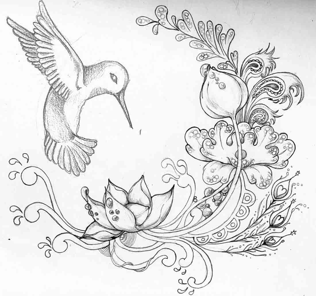 1100x1031 Pencil Drawings Of Flowers And Birds