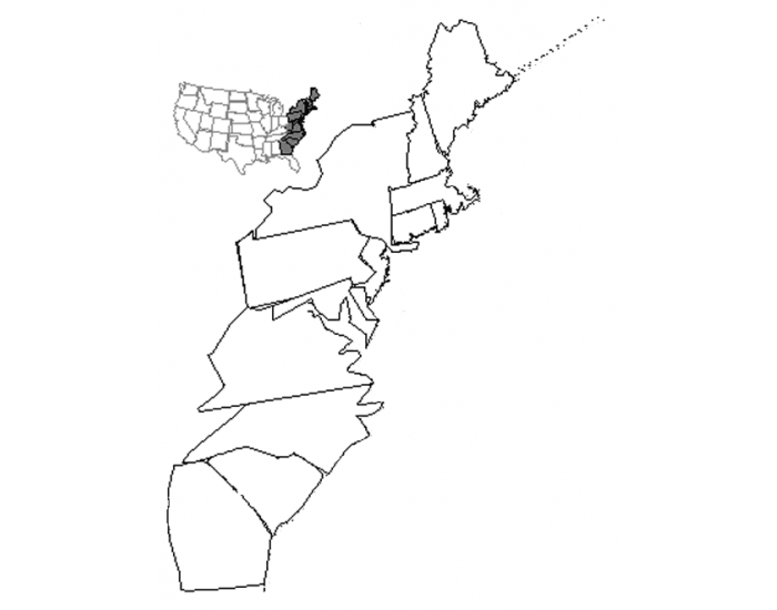 700x550 Game Statistics