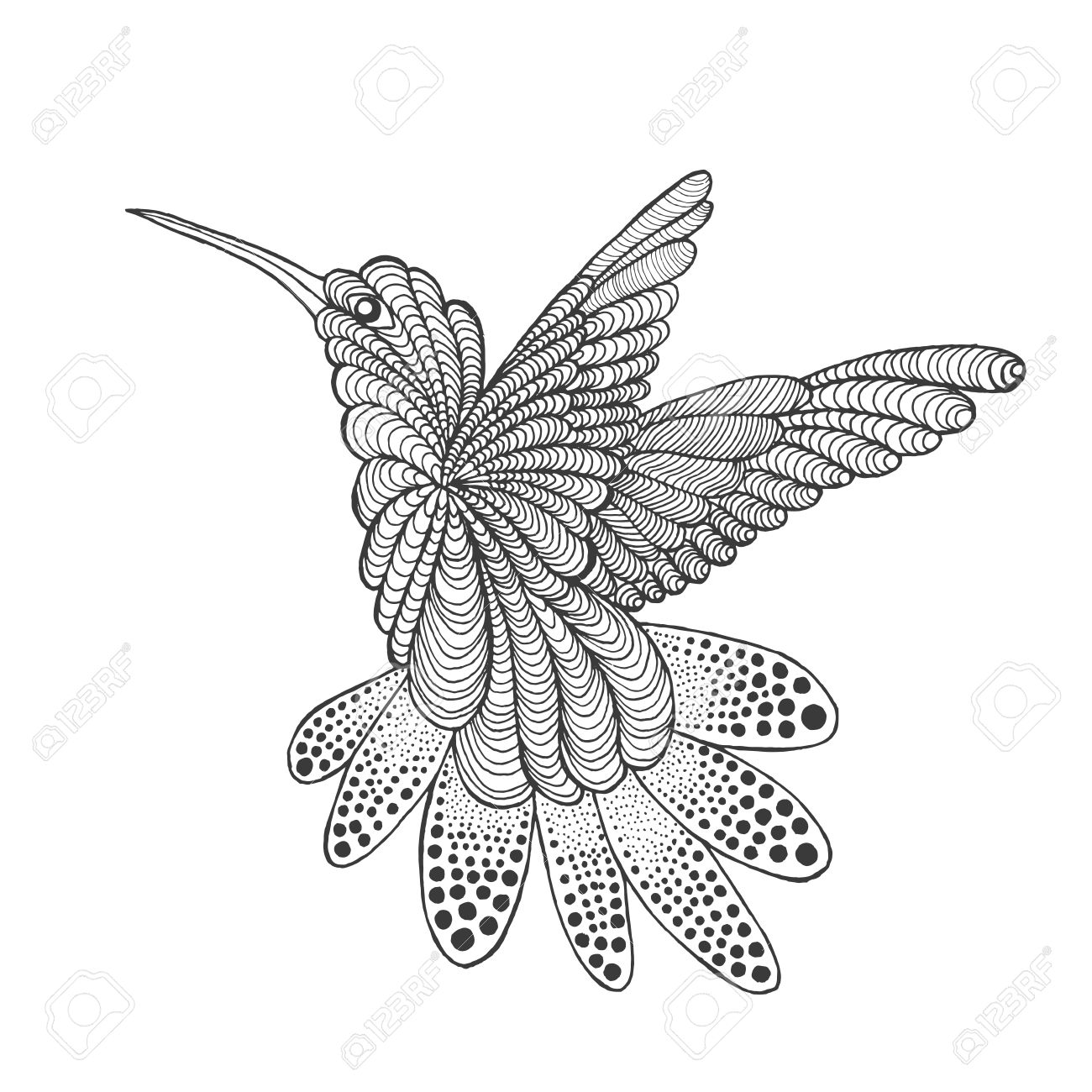 1300x1300 Zentangle Stylized Hummingbird. Animals. Black White Hand Drawn