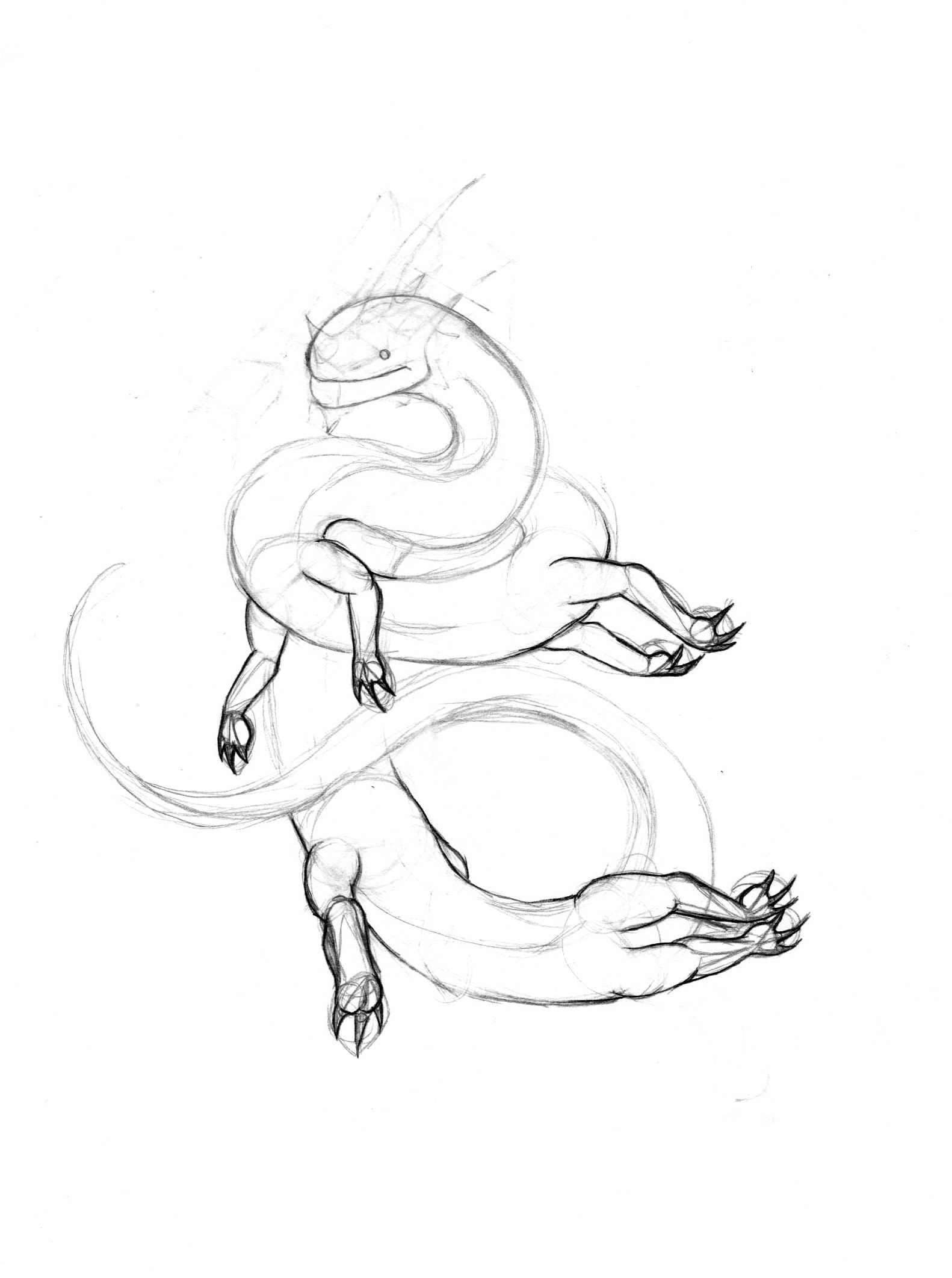 1582x2123 Drawing (With Tutorials)