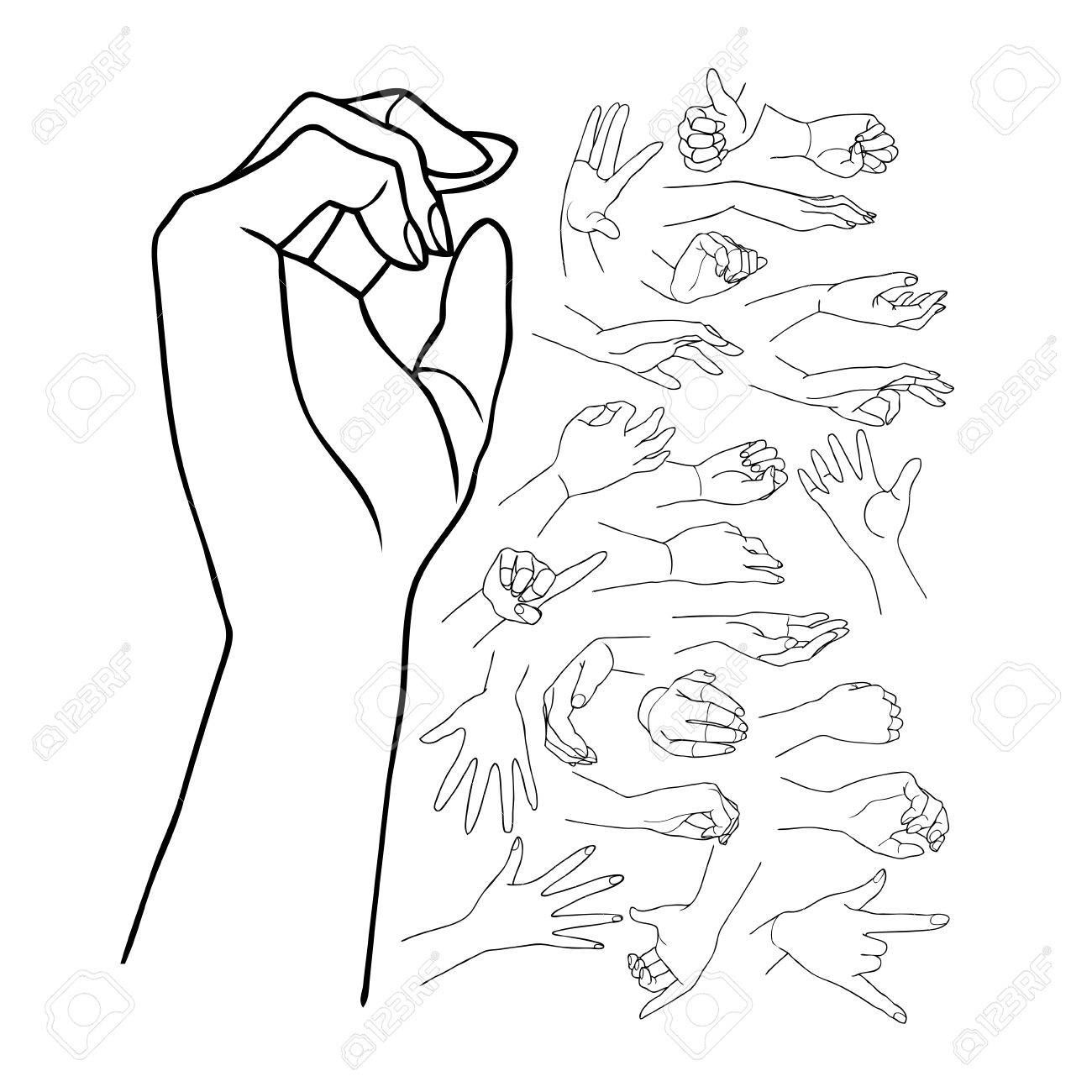 1300x1300 The Vector Illustrated Set Of Outlined Hand Drawn Hands