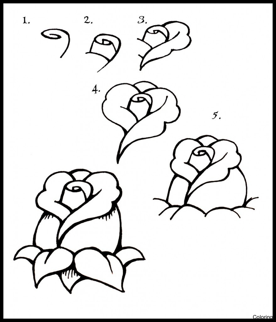 879x1024 Drawing A Rose For Beginners Easy Roses Drawings Xrf How To Draw