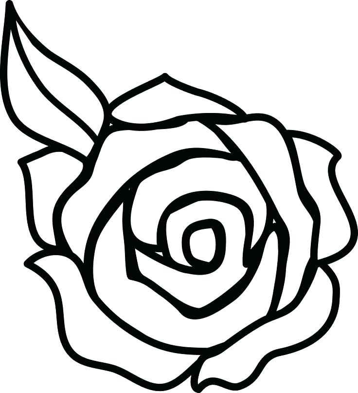 736x807 This Is Roses Coloring Pages Images Roses Coloring Pages 2 Rose