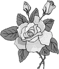 252x292 Drawings Of Roses Made Easy With Your First Sketch