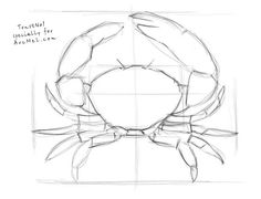 236x180 Learn To Draw Flowers Of All Kinds, From Simple Daisies To Complex