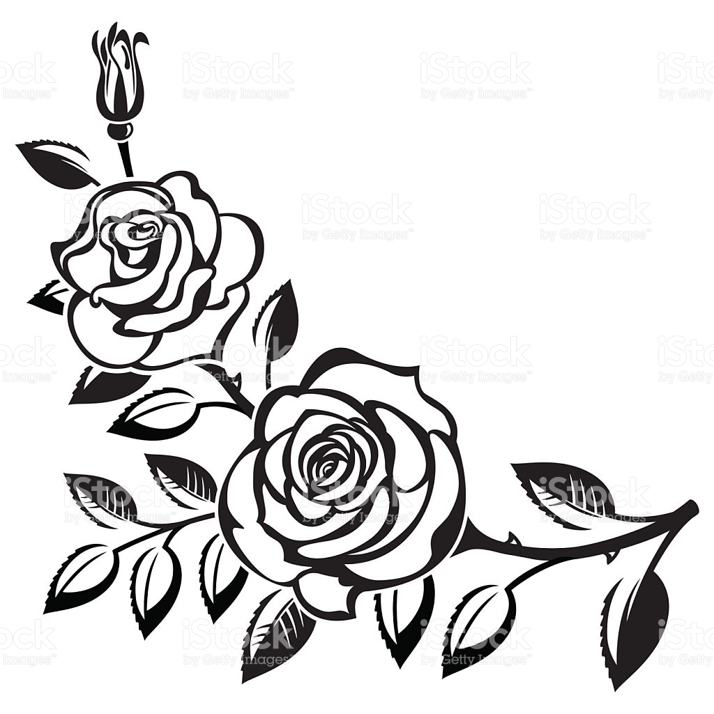 1024x1024 3 Roses Clipart Black And White