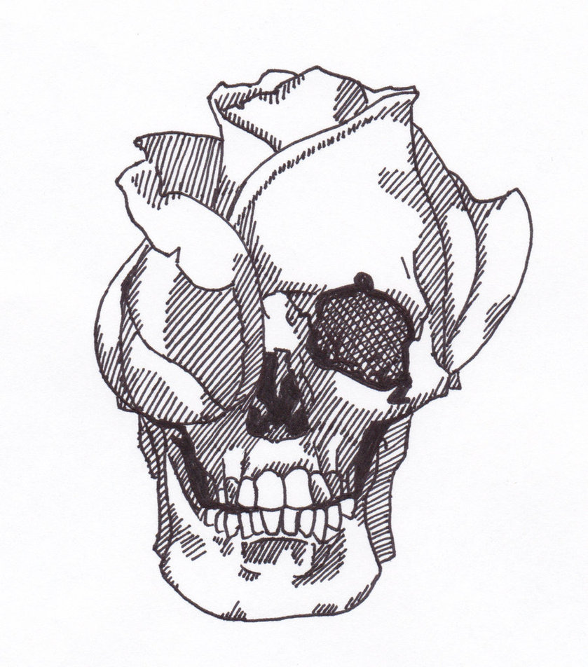 839x952 Skull Rose By Stehmdawg