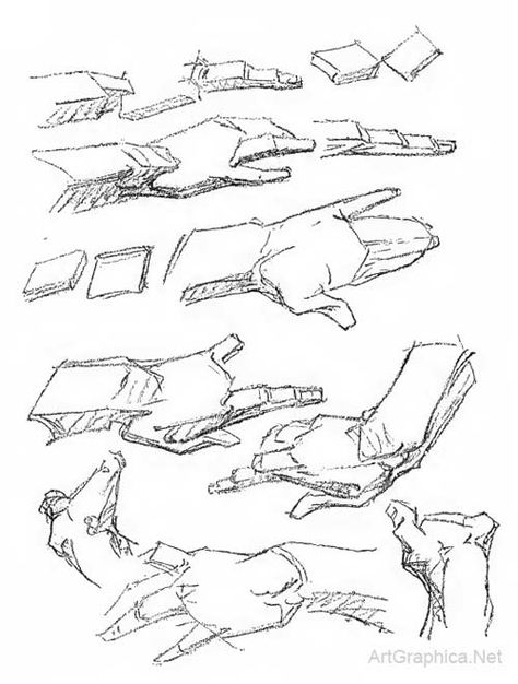474x626 Visualising Anatomy In 3d, Three Dimensions, Art Study Drawing