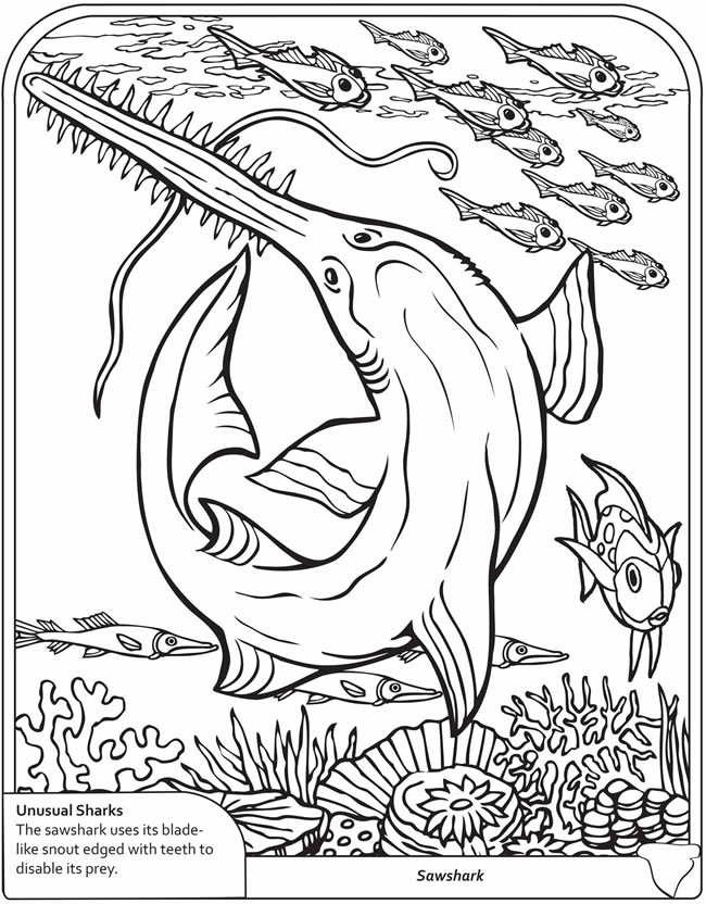 650x832 3d Sharks Colouring Book Sample Pages @ Dover Publications