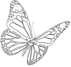 236x220 Image 3d Monarch Butterfly Tattoos Download Black Butterfly 3d