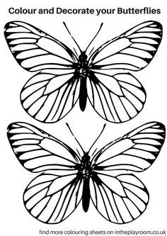 236x333 Printable Monarch Butterfly Coloring Page