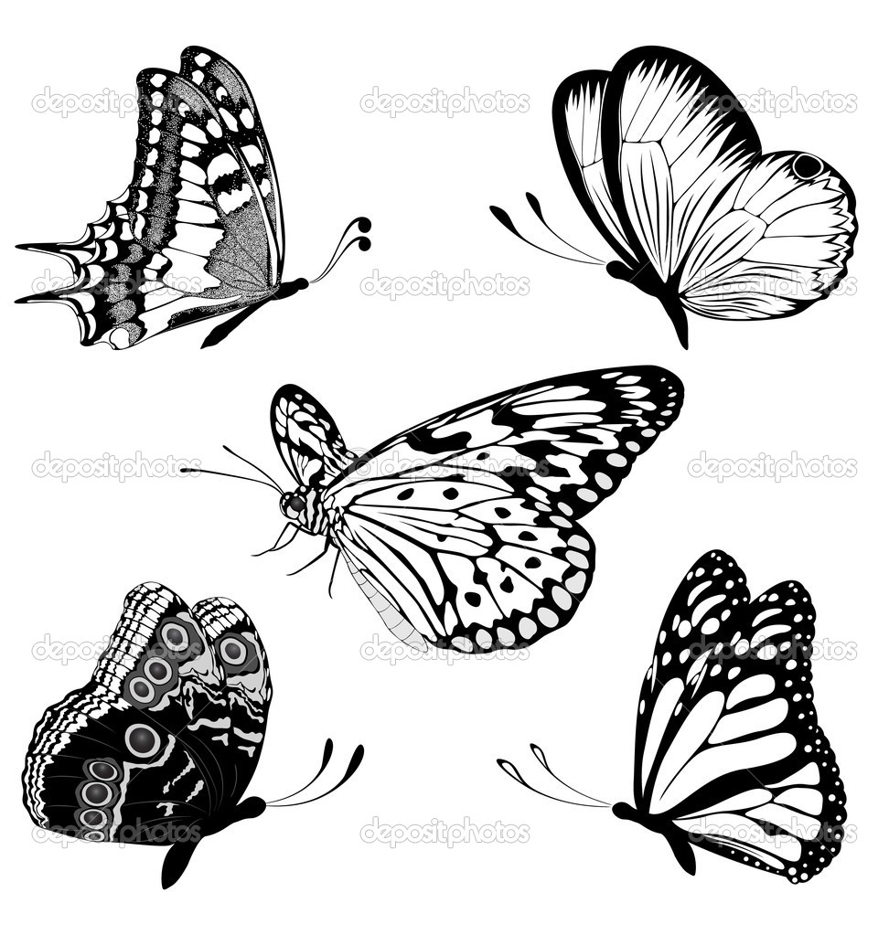 972x1023 Set Black White Butterflies Of A Tattoo Vector By Maristep