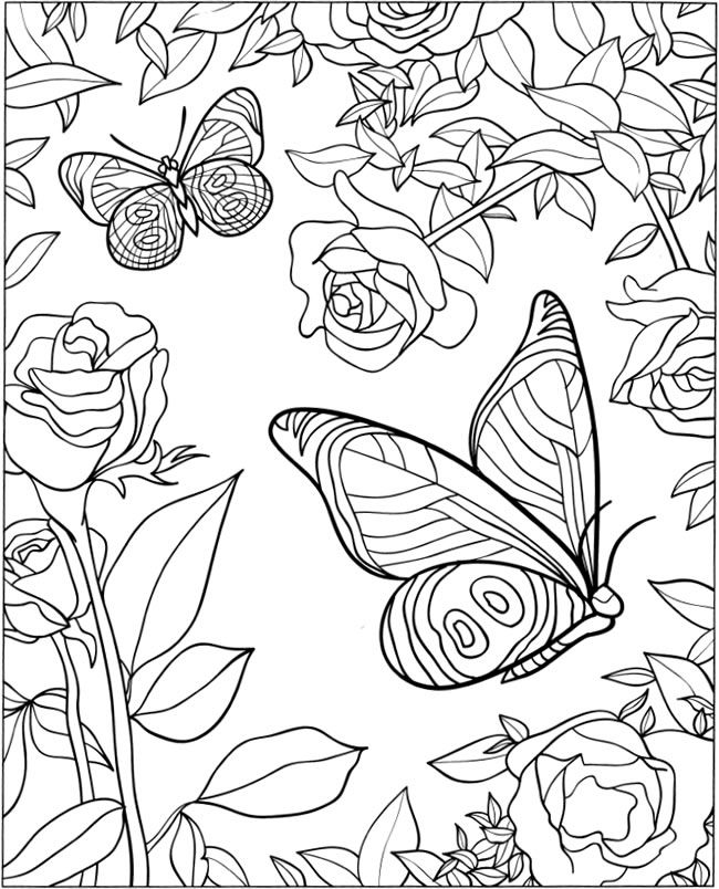650x804 Welcome To Dover Publications 3 D Coloring Book