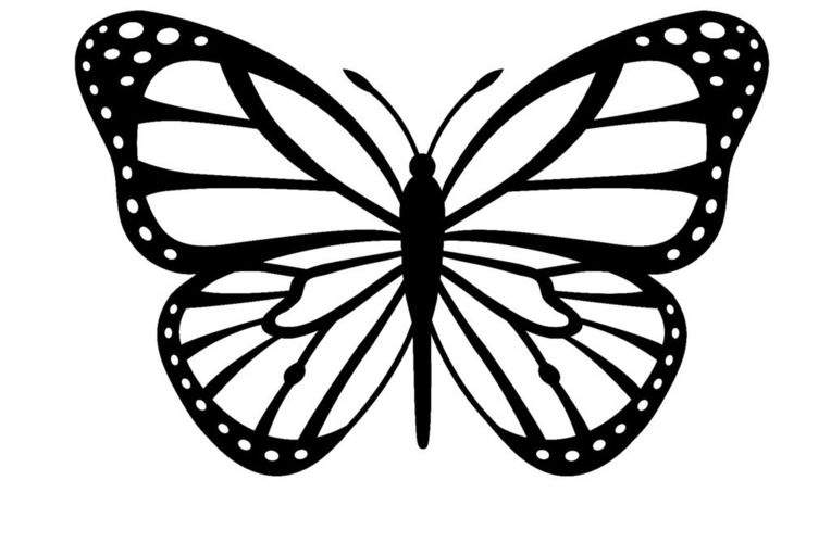 3d Butterfly Drawing at GetDrawings | Free download