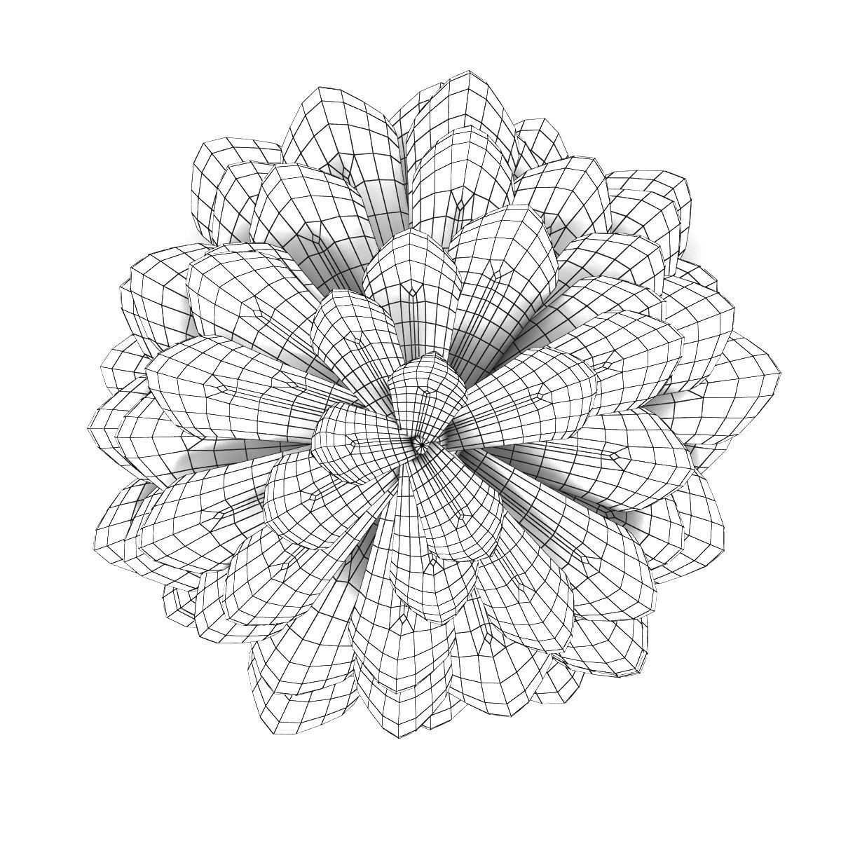 1200x1200 3d Pine Cone Cgtrader