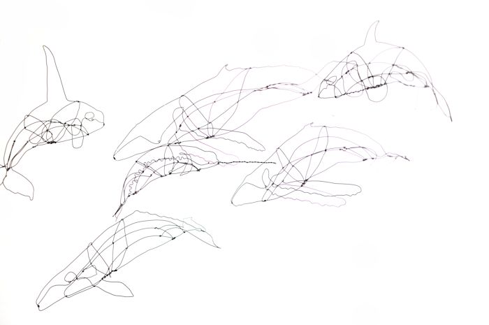 700x465 Wire Whales Natasha Van Netten