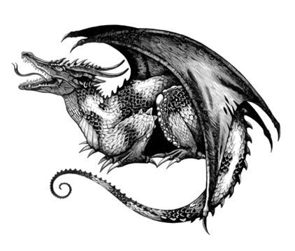 422x359 3d Tattoo Dragon Tattoo Designs