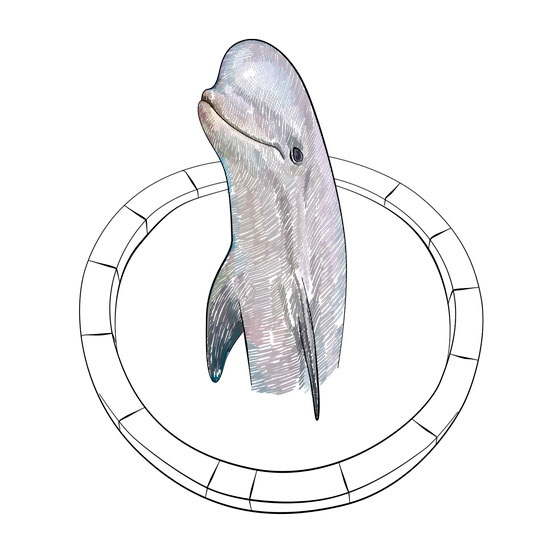 560x560 How To Draw 3d Drawing Of A Dolphin In The Pool Step By Step