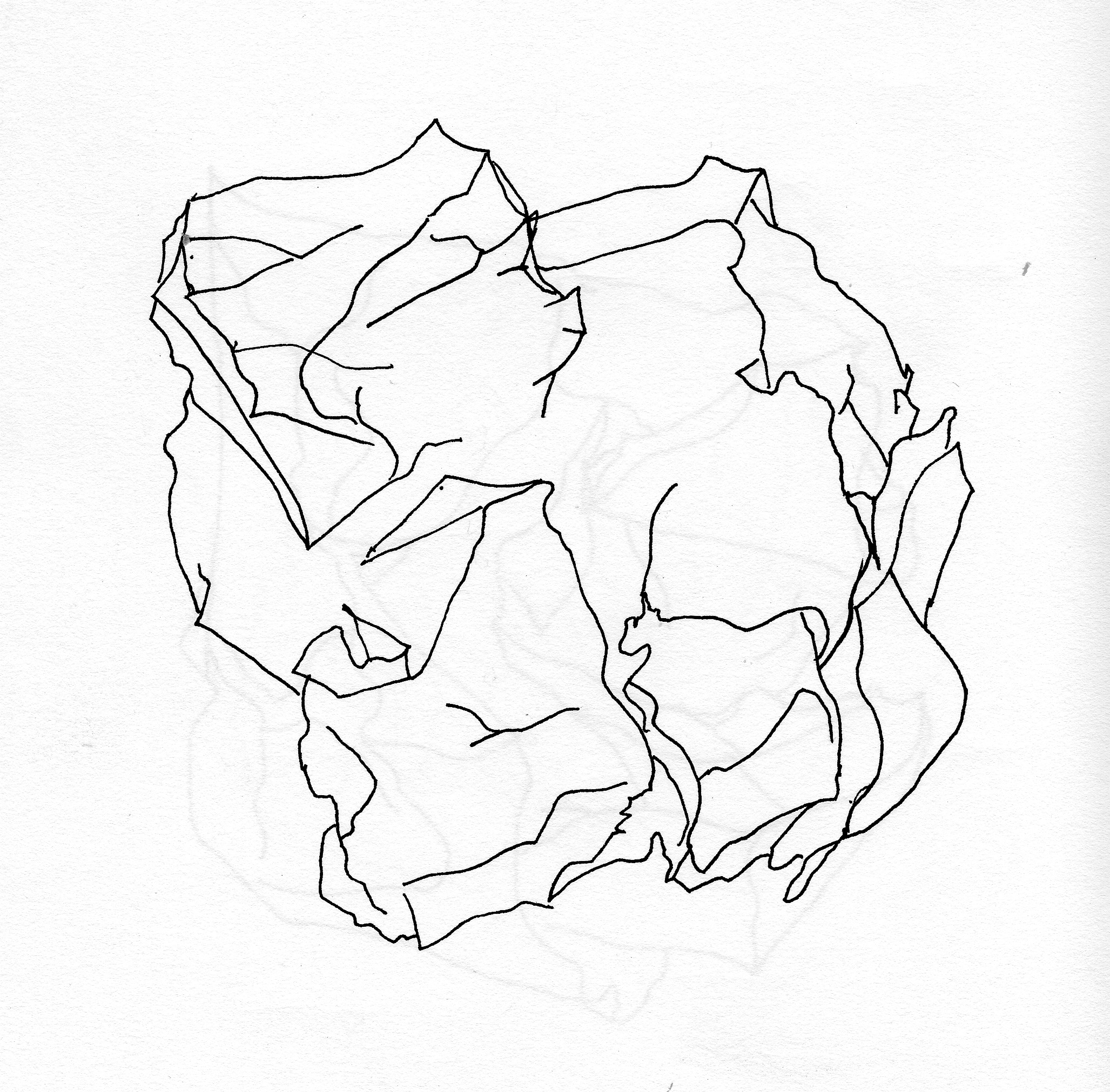 2055x2023 Paper Form