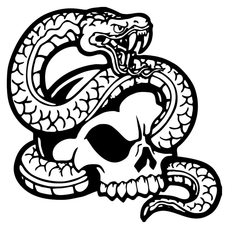 800x800 Buy Snake Head Car And Get Free Shipping