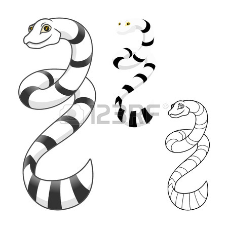 450x450 129 Coral Snake Stock Vector Illustration And Royalty Free Coral