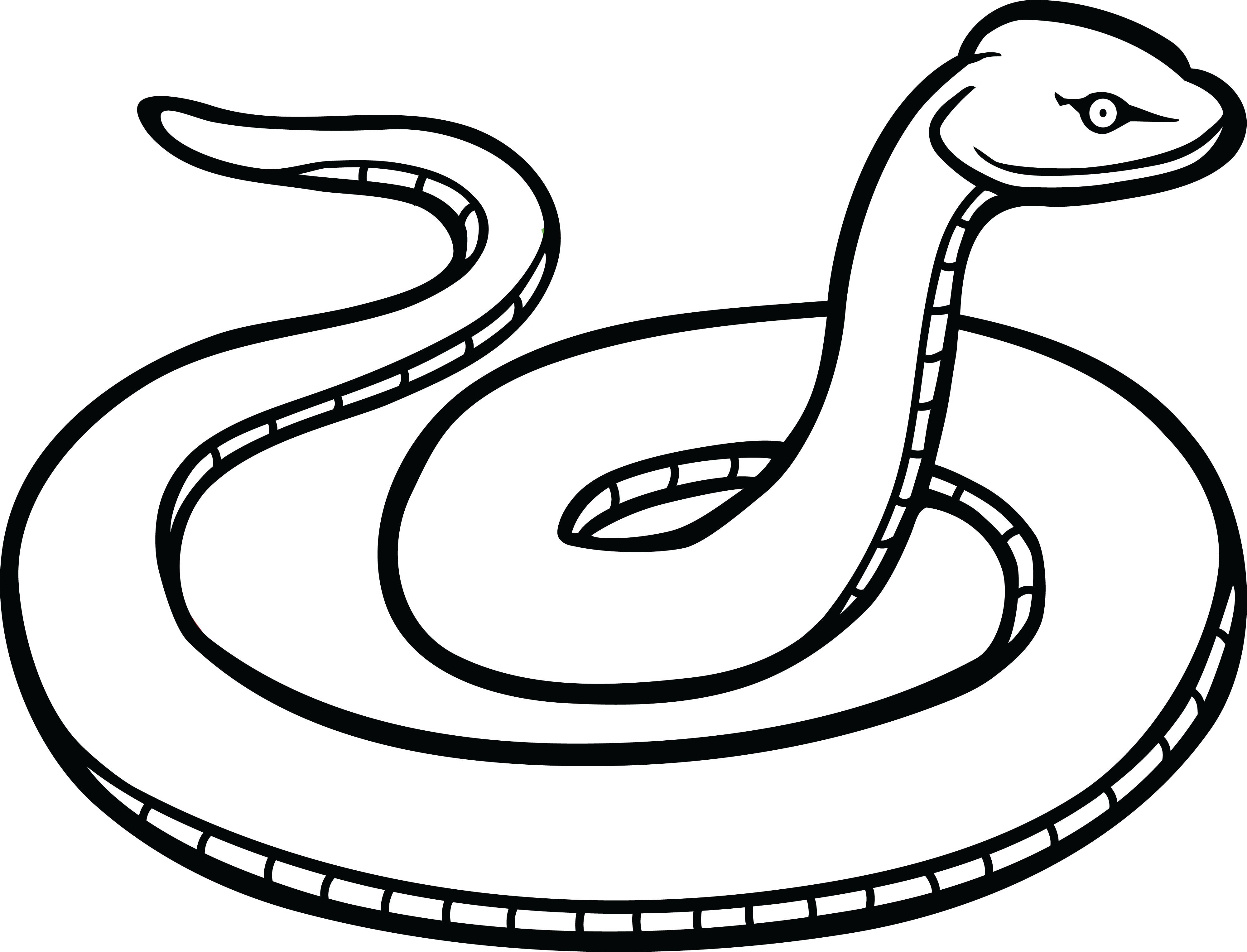 4000x3054 Free Clipart Of A Snake