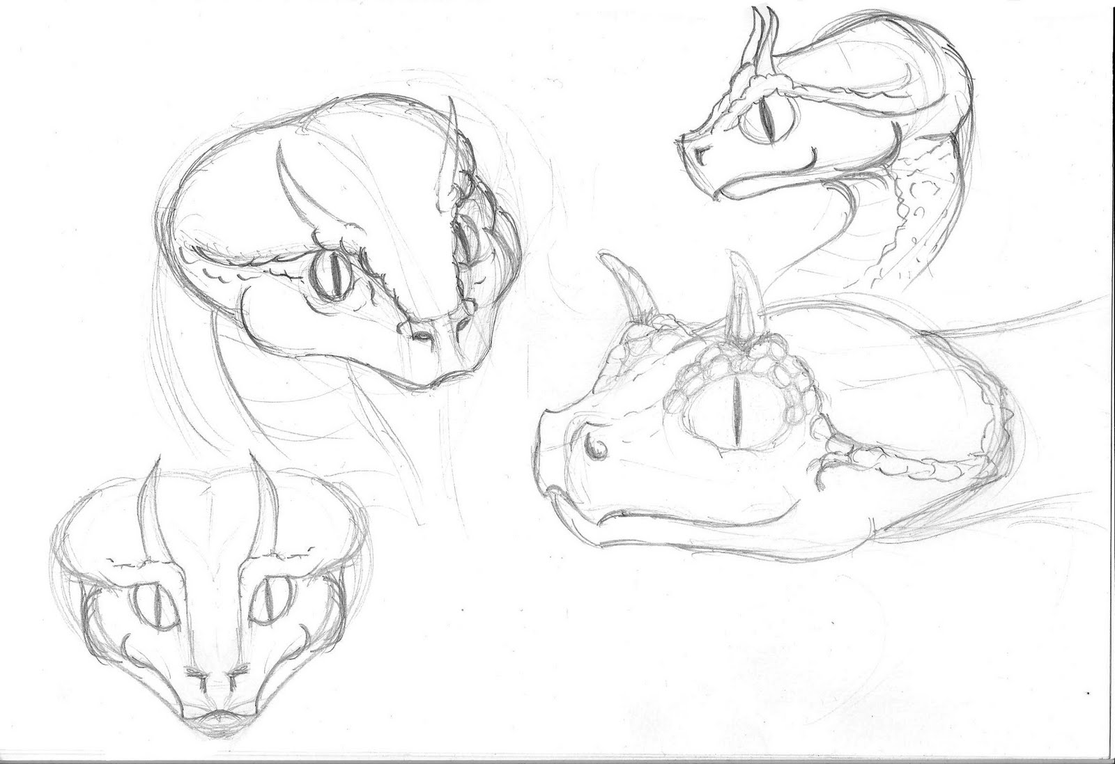 1600x1097 John Wendels Creature Concept Sketches