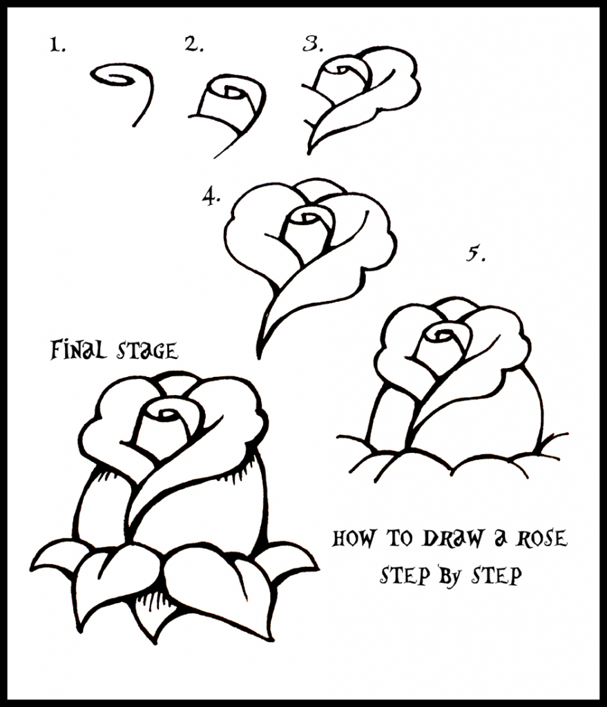 879x1024 3d Flower Drawing Step By Step Simple Flower Drawing How To Draw